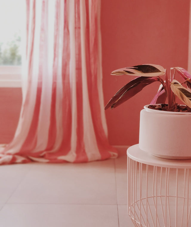 "Vestir" la casa con cortinas: ¿hasta dónde te animás? - Carina Michelli